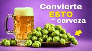 Cómo Evitar los Errores Comunes en la Elaboración de Cerveza