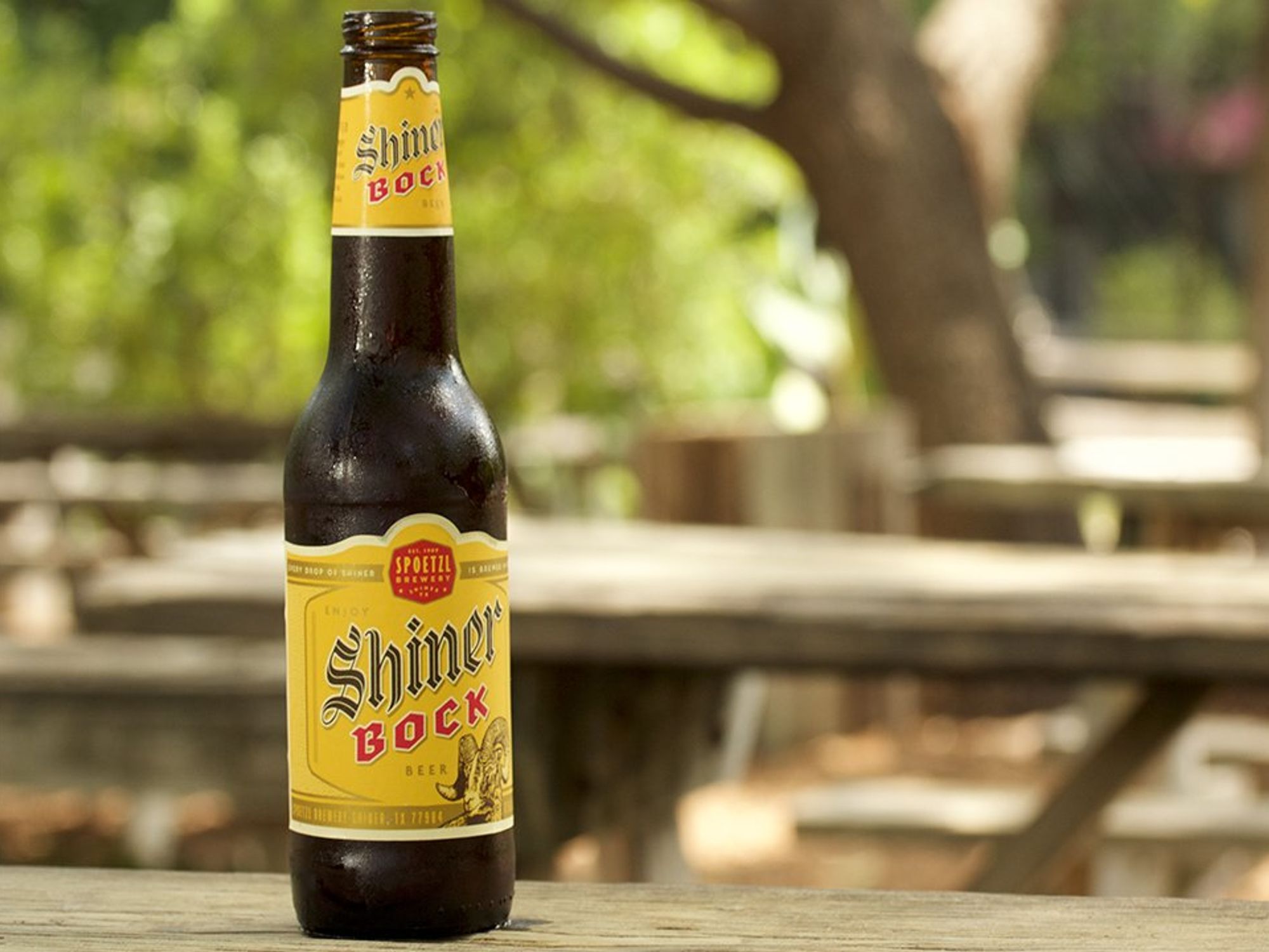 Shiner Course Todo sobre la Shiner Bock: Historia y Sabor