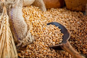 Cómo Seleccionar los Mejores Granos para tu Cerveza Artesanal