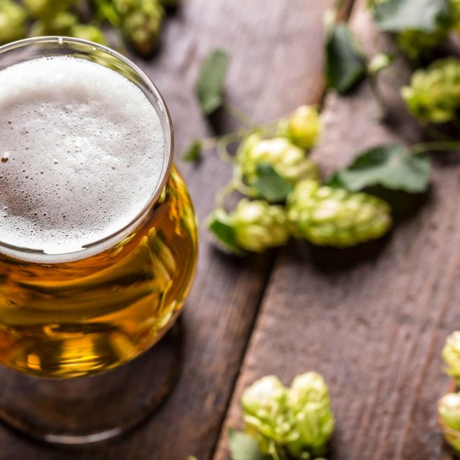 Innovaciones en la Industria Cervecera: Nuevas Técnicas y Sabores