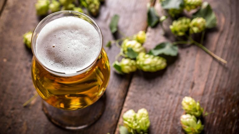 Innovaciones en la Industria Cervecera: Nuevas Técnicas y Sabores